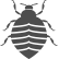 Bed Bug Bed Bug