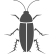 Cockroach Cockroach