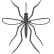 Mosquito Icon