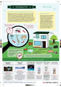 mosquiito-infographic-and-solution-poster