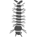 mosquito_icon mosquito_icon