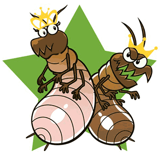 termite-royal