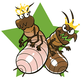 termite-royal termite-royal