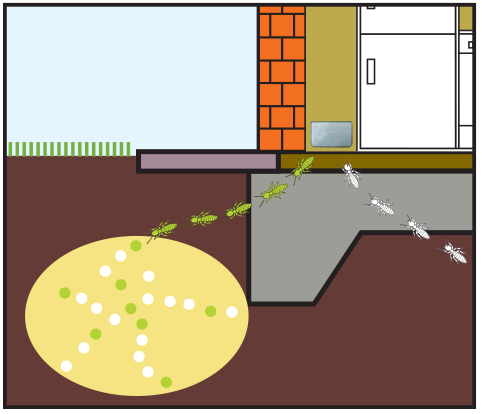 above-ground-baiting-system-right-img