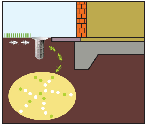 in-ground-baiting-system-img